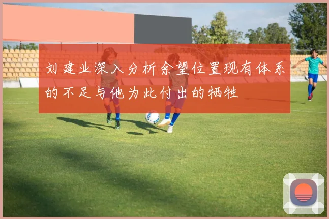 刘建业深入分析余望位置现有体系的不足与他为此付出的牺牲