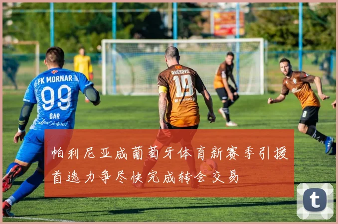 帕利尼亚成葡萄牙体育新赛季引援首选力争尽快完成转会交易